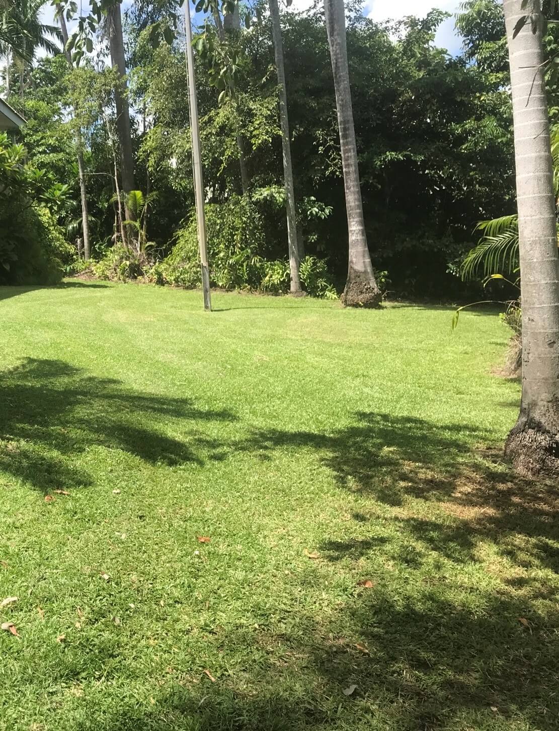 Garden Maintenance 10 – Garden Maintenance in Darwin River, NT