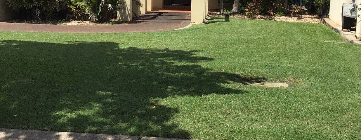 Garden Maintenance 18 – Garden Maintenance in Darwin River, NT