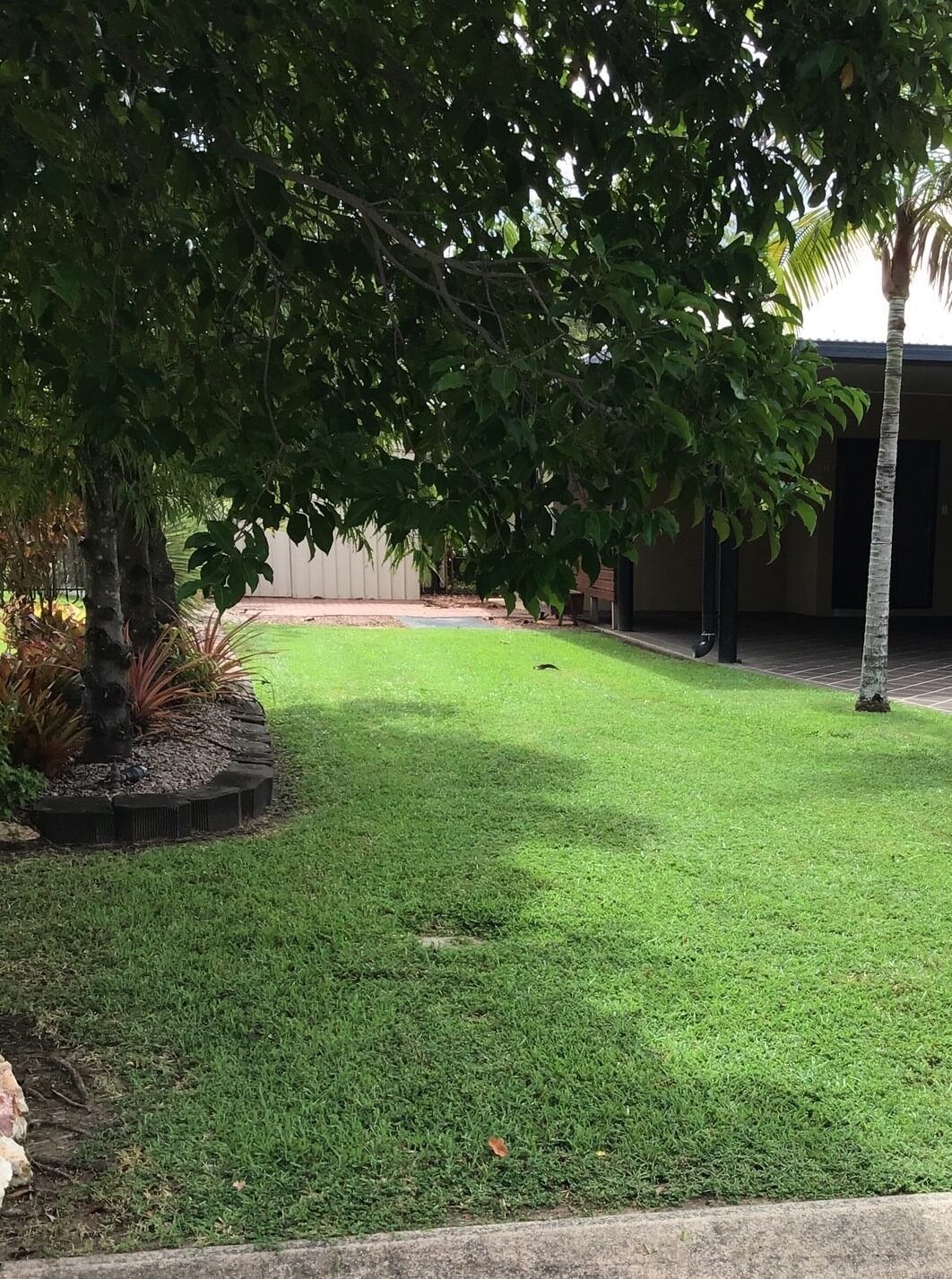 Darwin Mowing Yarrawonga Irrigation Gardeners Home Commercial