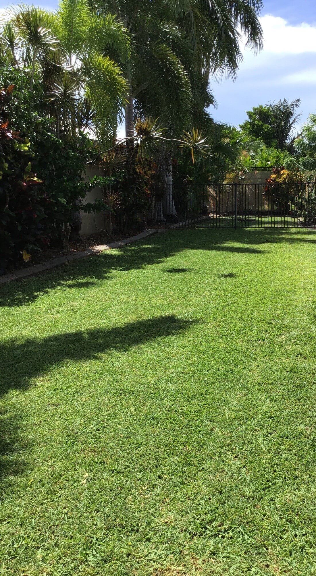 Darwin Mowing Yarrawonga Irrigation Gardeners Home Commercial