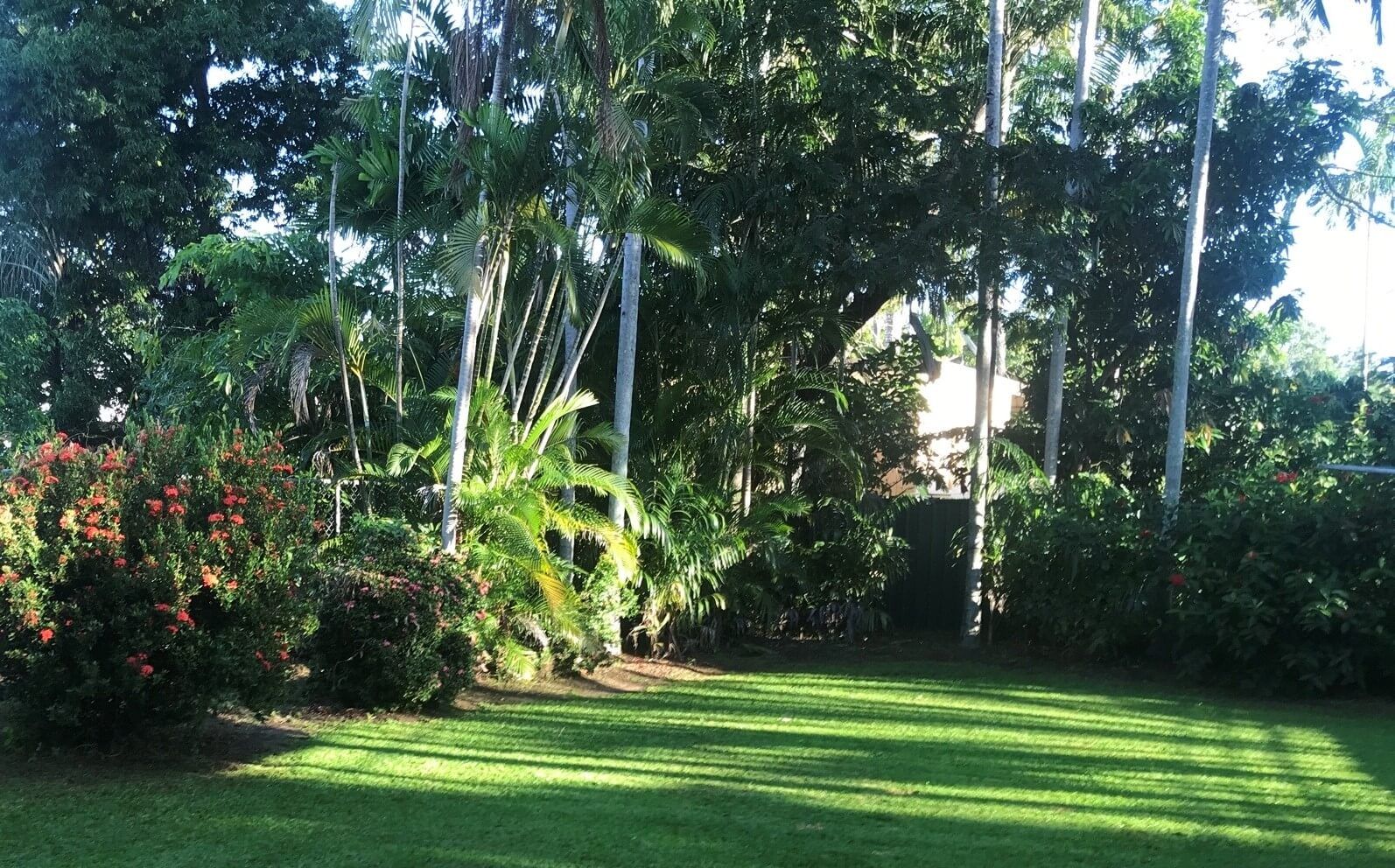 Garden Maintenance 2 – Garden Maintenance in Darwin River, NT