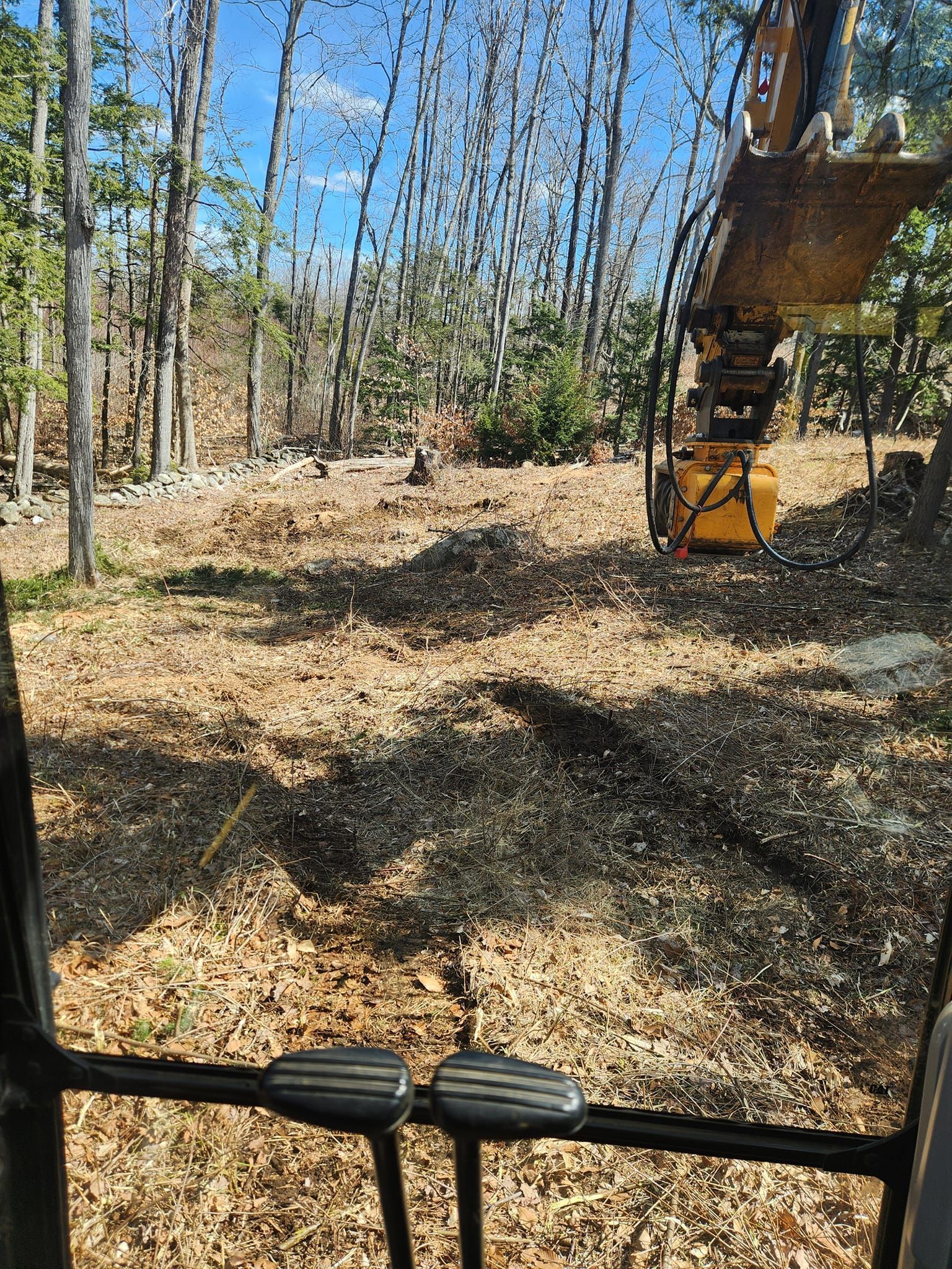A bulldozer is cutting down trees in a forest.
