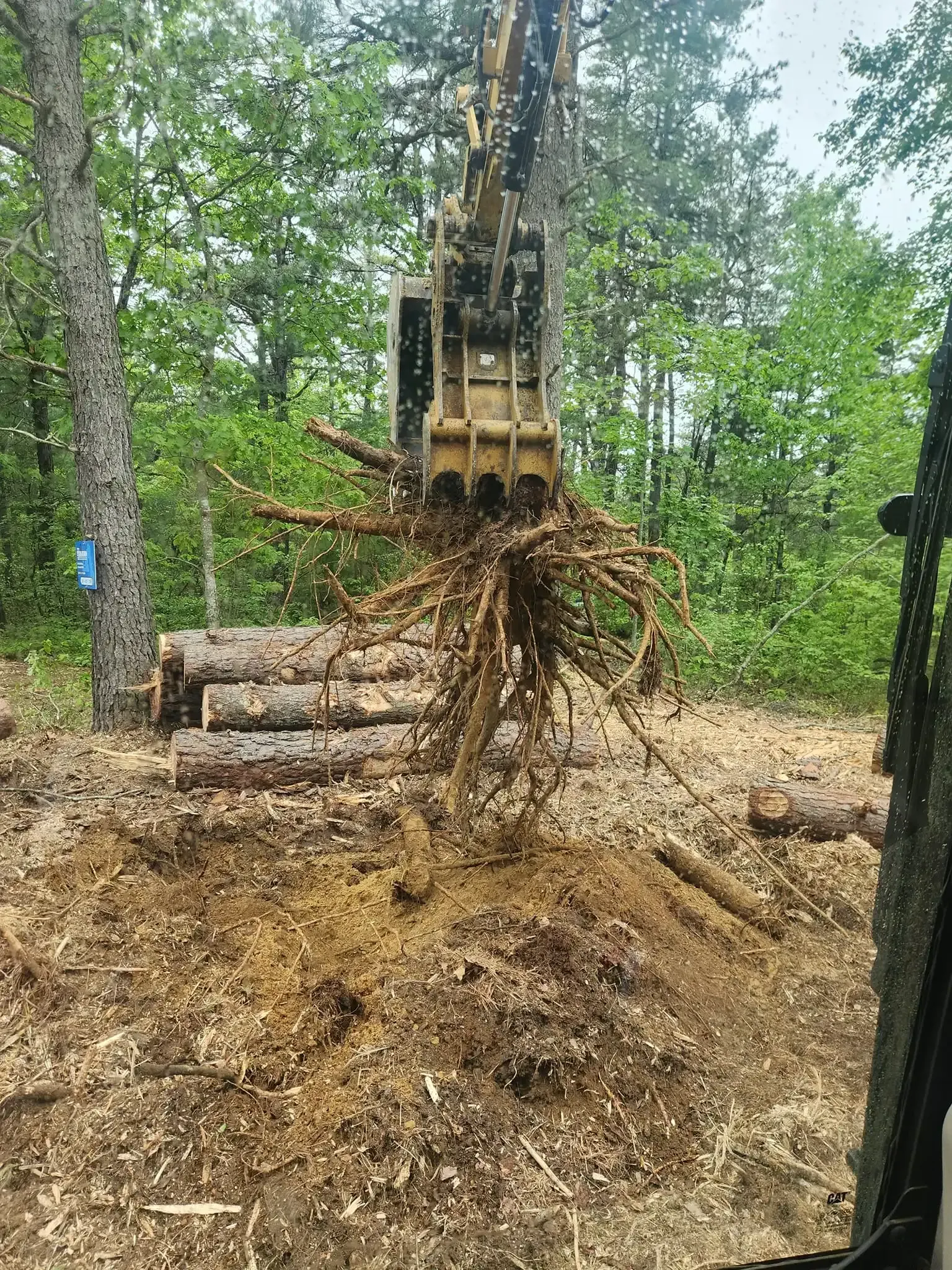 An excavator lifting a tree's root system out of the ground in a forest setting.