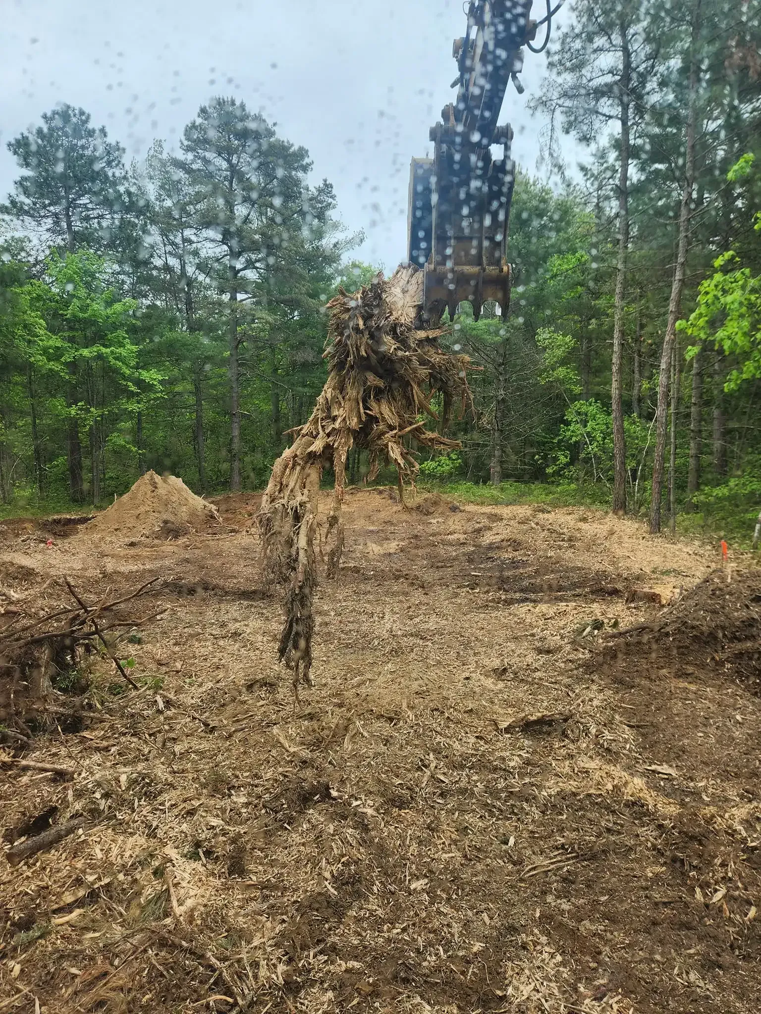 A machine grinds wood into mulch, spraying it onto a pile in a forest clearing.