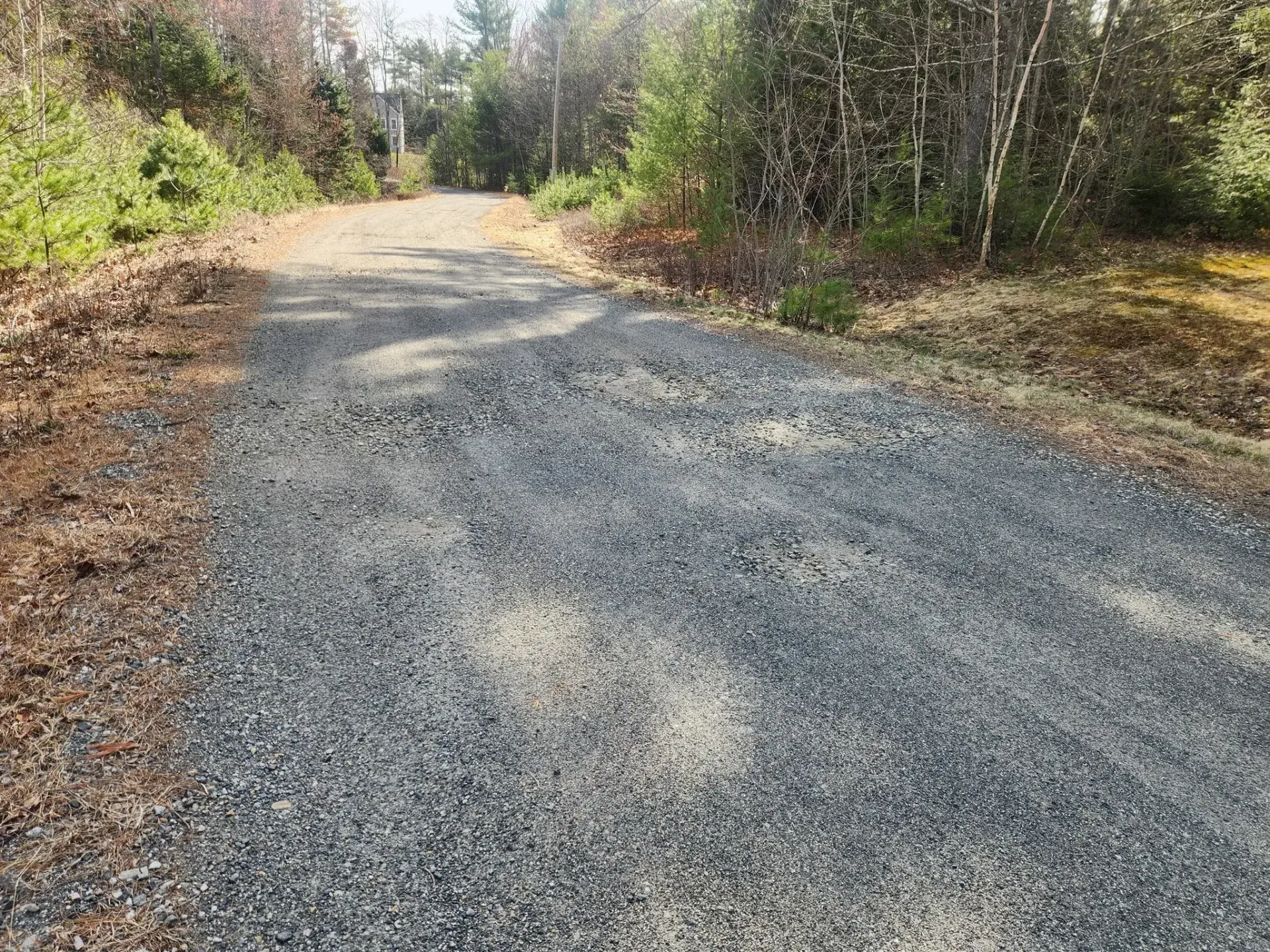 Gravel road through a wooded area; sunlight filters through the trees.