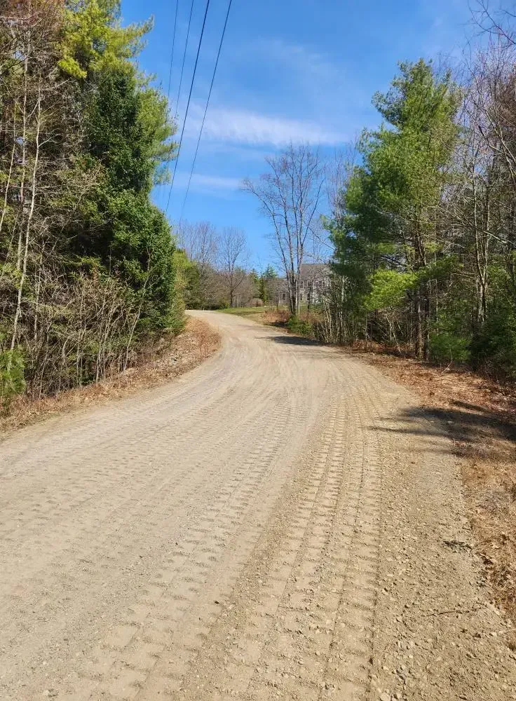 Gravel road curves through a forest on a sunny day. Tire tracks visible. Overhead power lines.