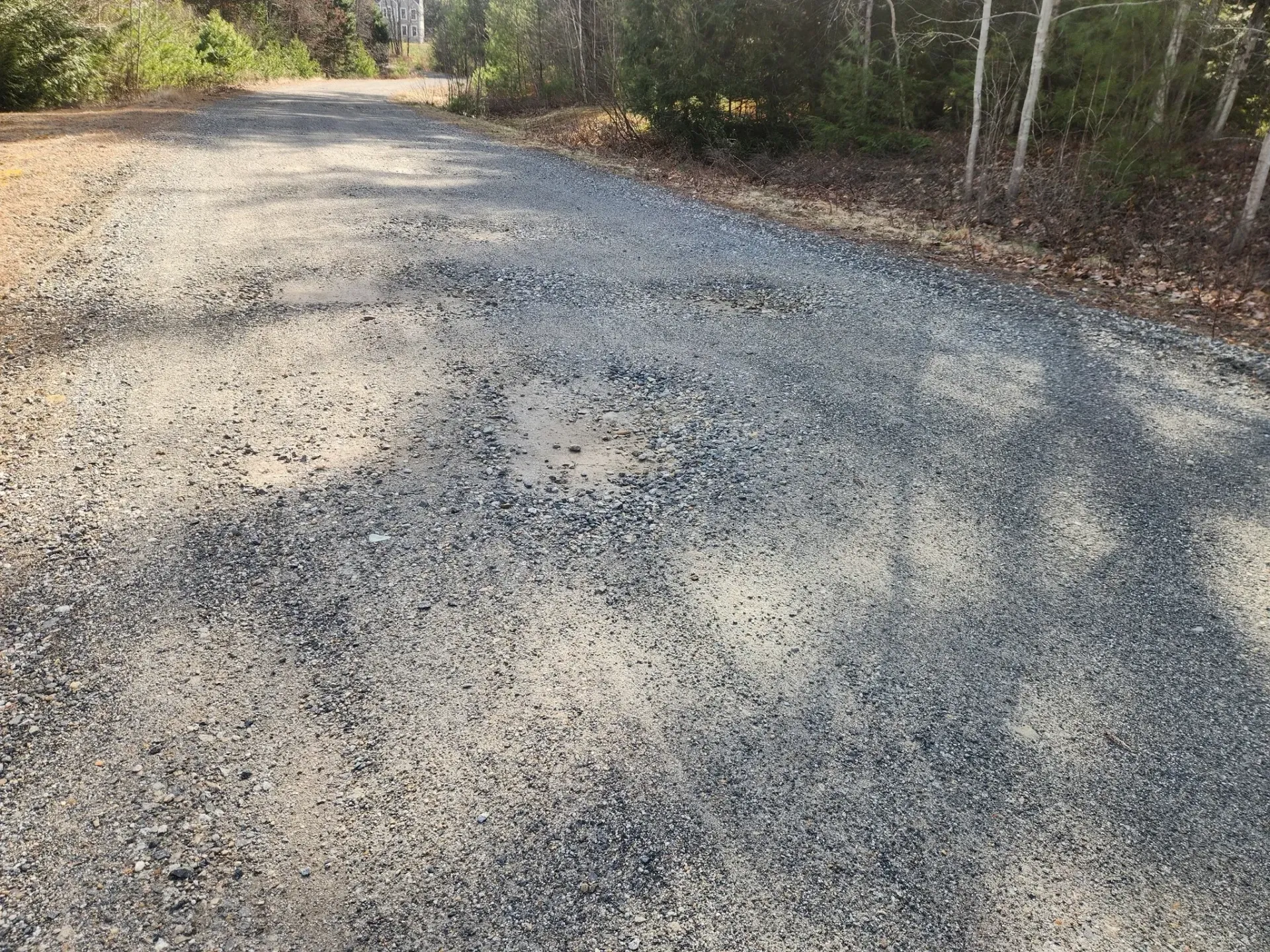 Gravel road in daylight, trees line the sides.