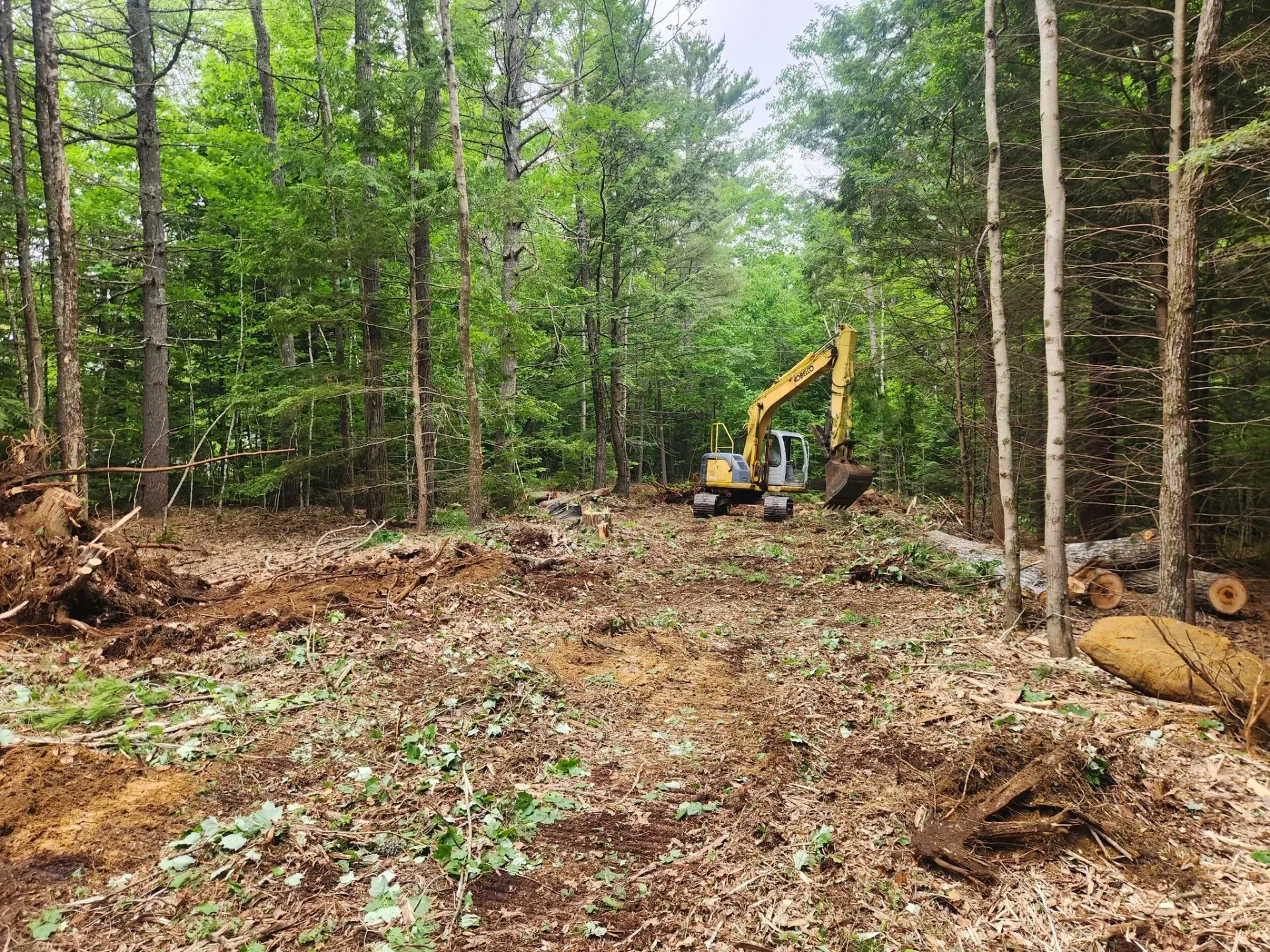 A yellow excavator is digging a hole in the middle of a forest.