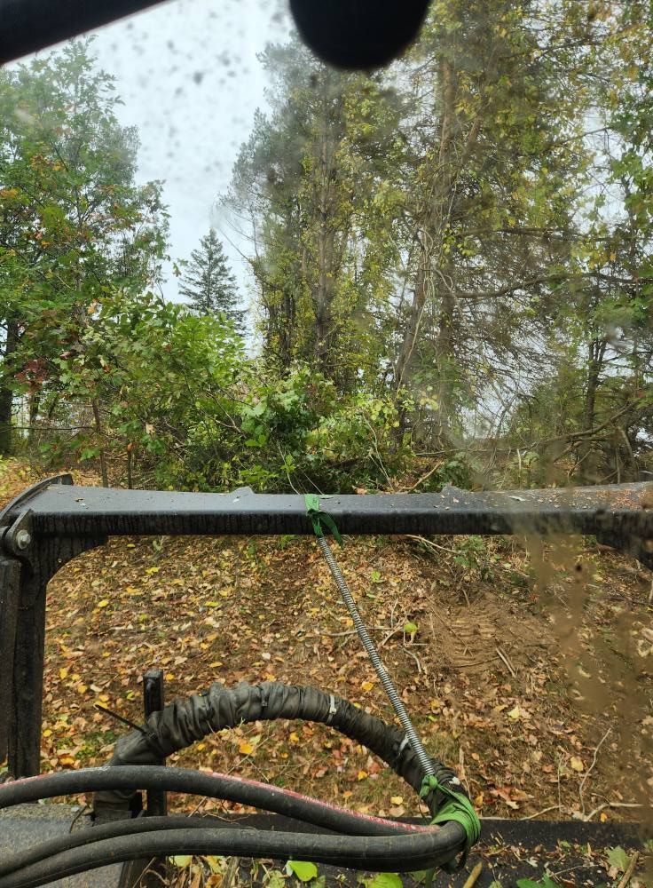 View from a vehicle's cab, spraying water on foliage during a rainy day.