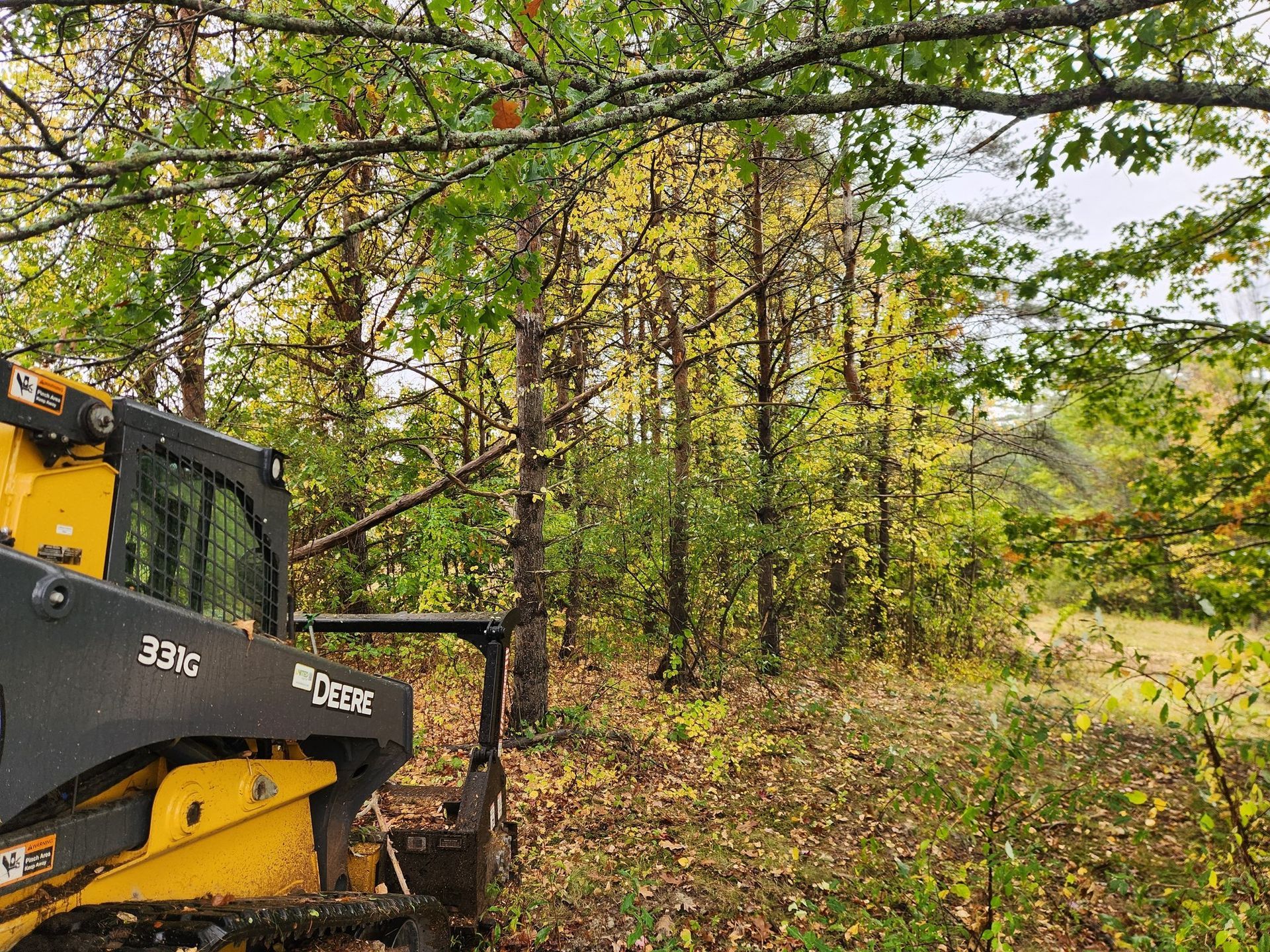 Yellow skid steer clearing trees in a wooded area, autumn leaves.