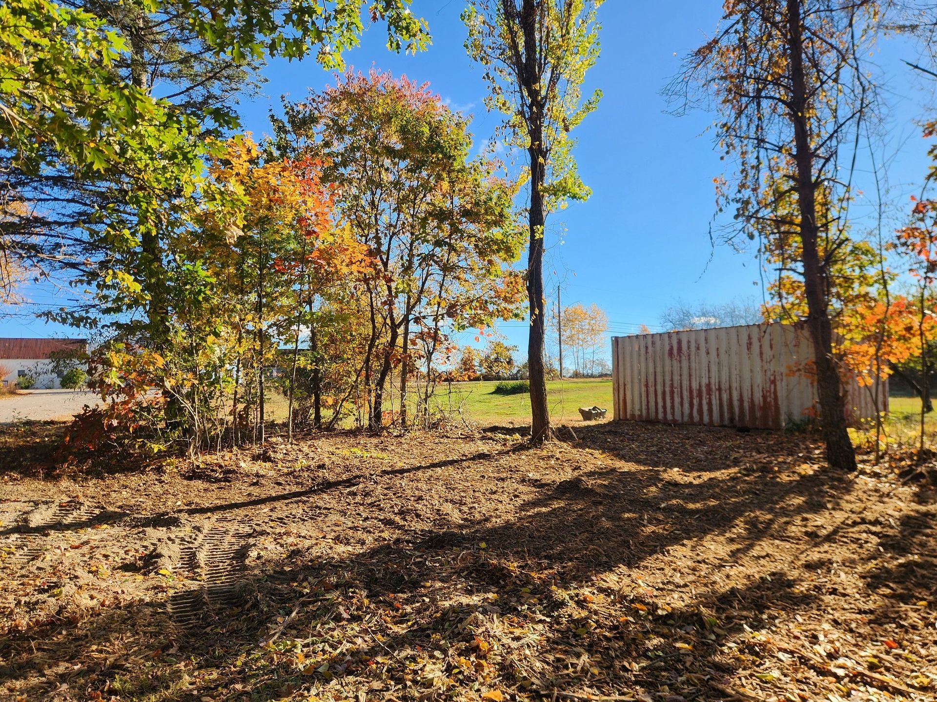 Autumn scene with colorful trees, a metal container, and fallen leaves on the ground under a blue sky.
