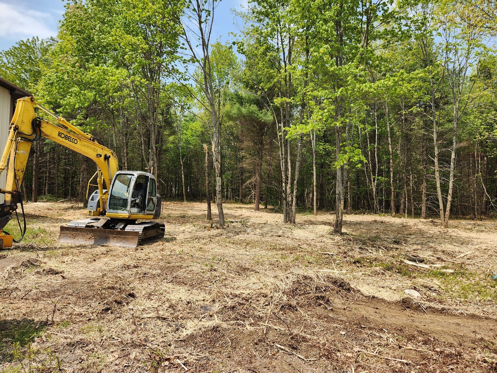 A yellow excavator is sitting in a field surrounded by trees.