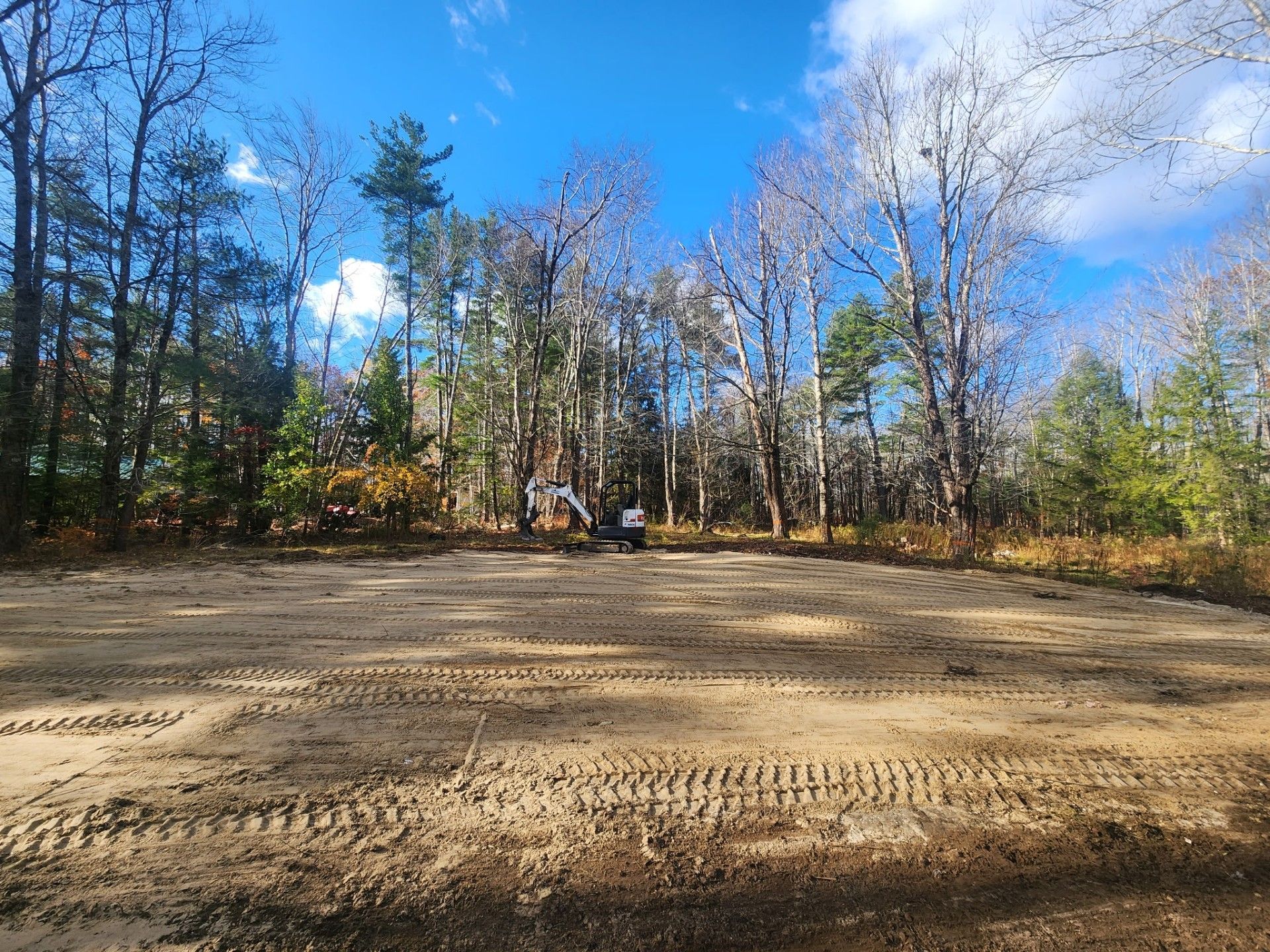 Clearing site for construction, with excavator in woods under a blue sky.
