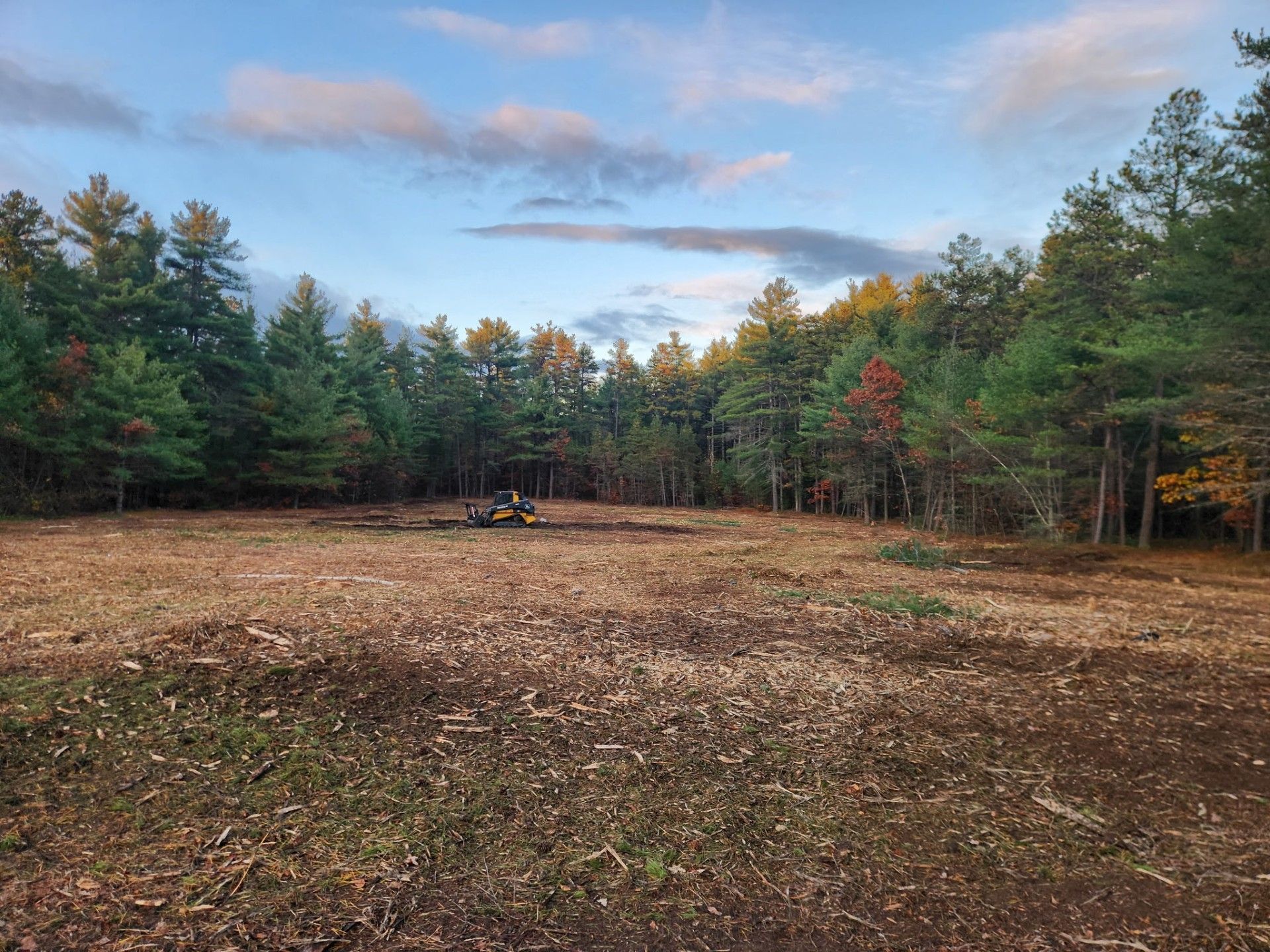 Clearing in a forest, brown field, evergreen and autumn trees, blue and cloudy sky.