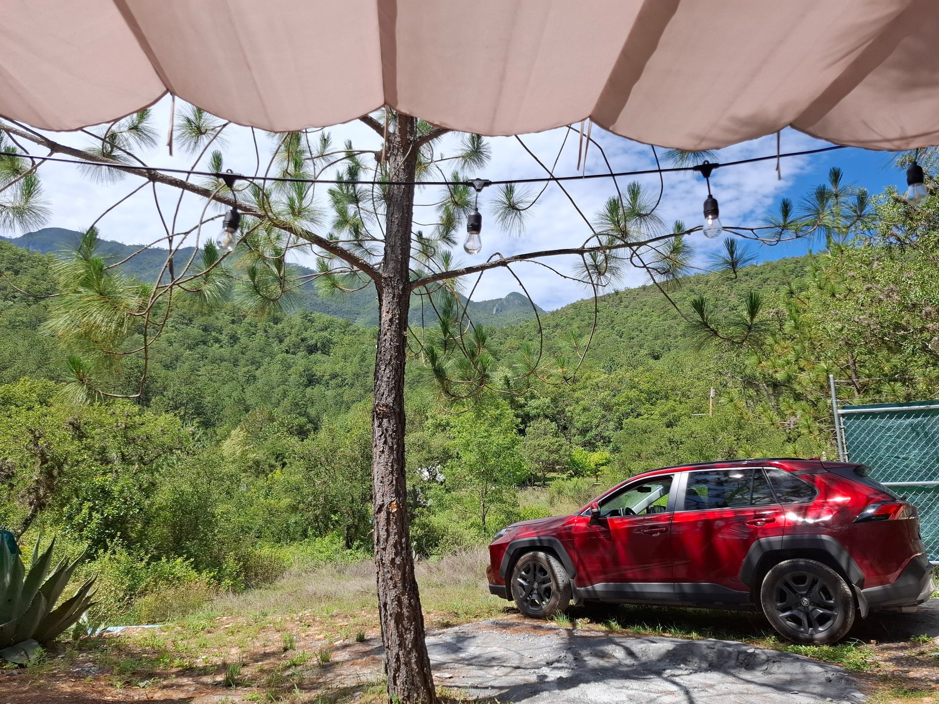 Un coche rojo está aparcado bajo una sombrilla en el bosque.