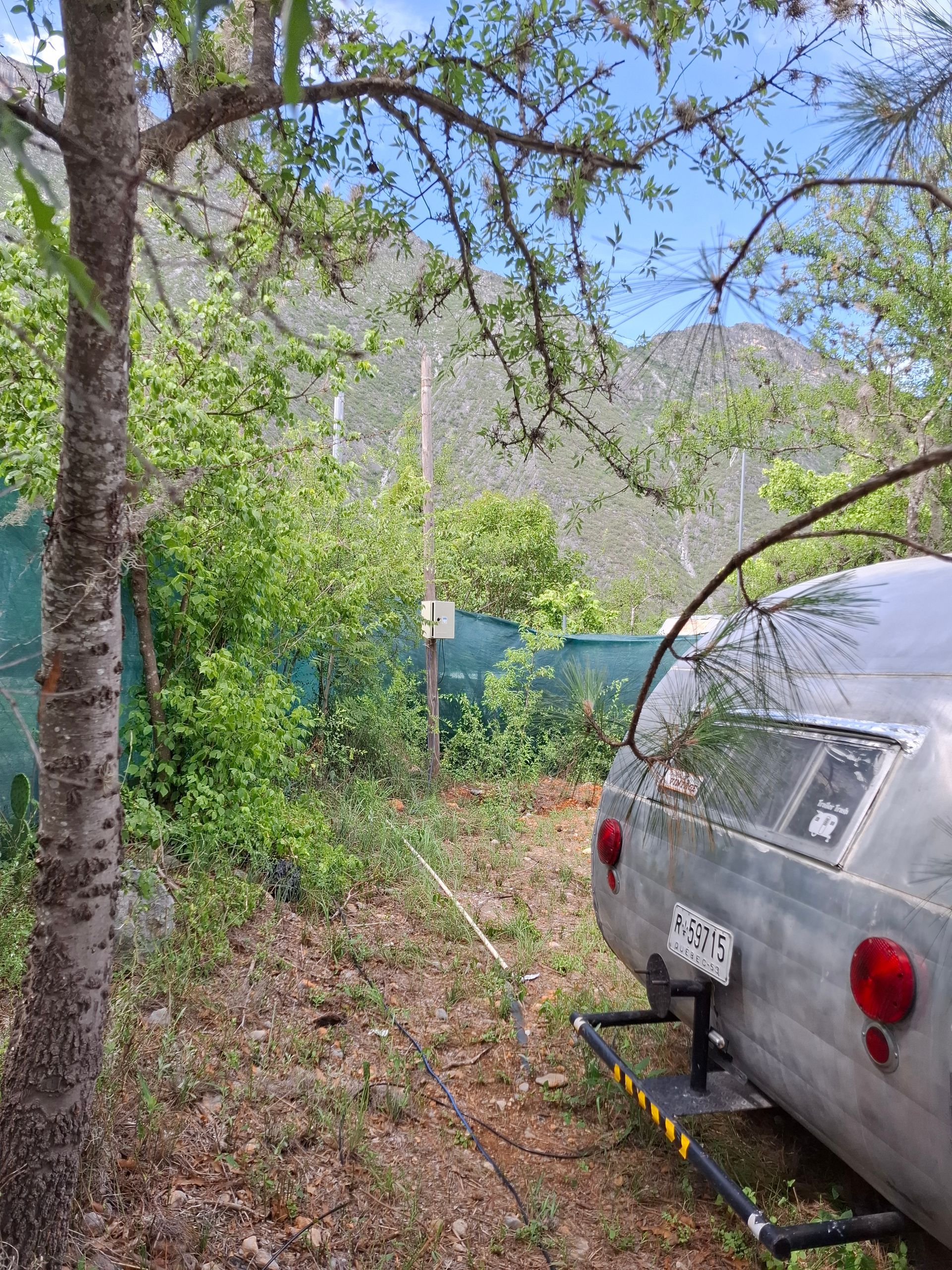 Un remolque Airstream está estacionado en un campo al lado de un árbol.
