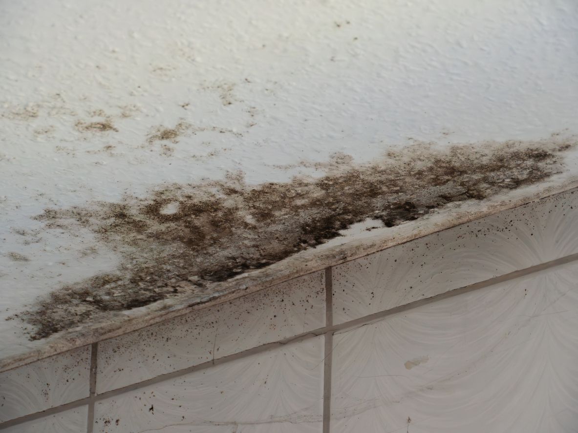 There is a lot of mold on the wall and tile.