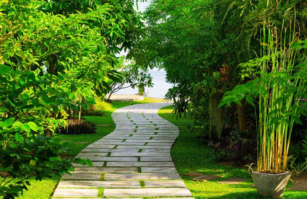 Landscaping Companies Near Me