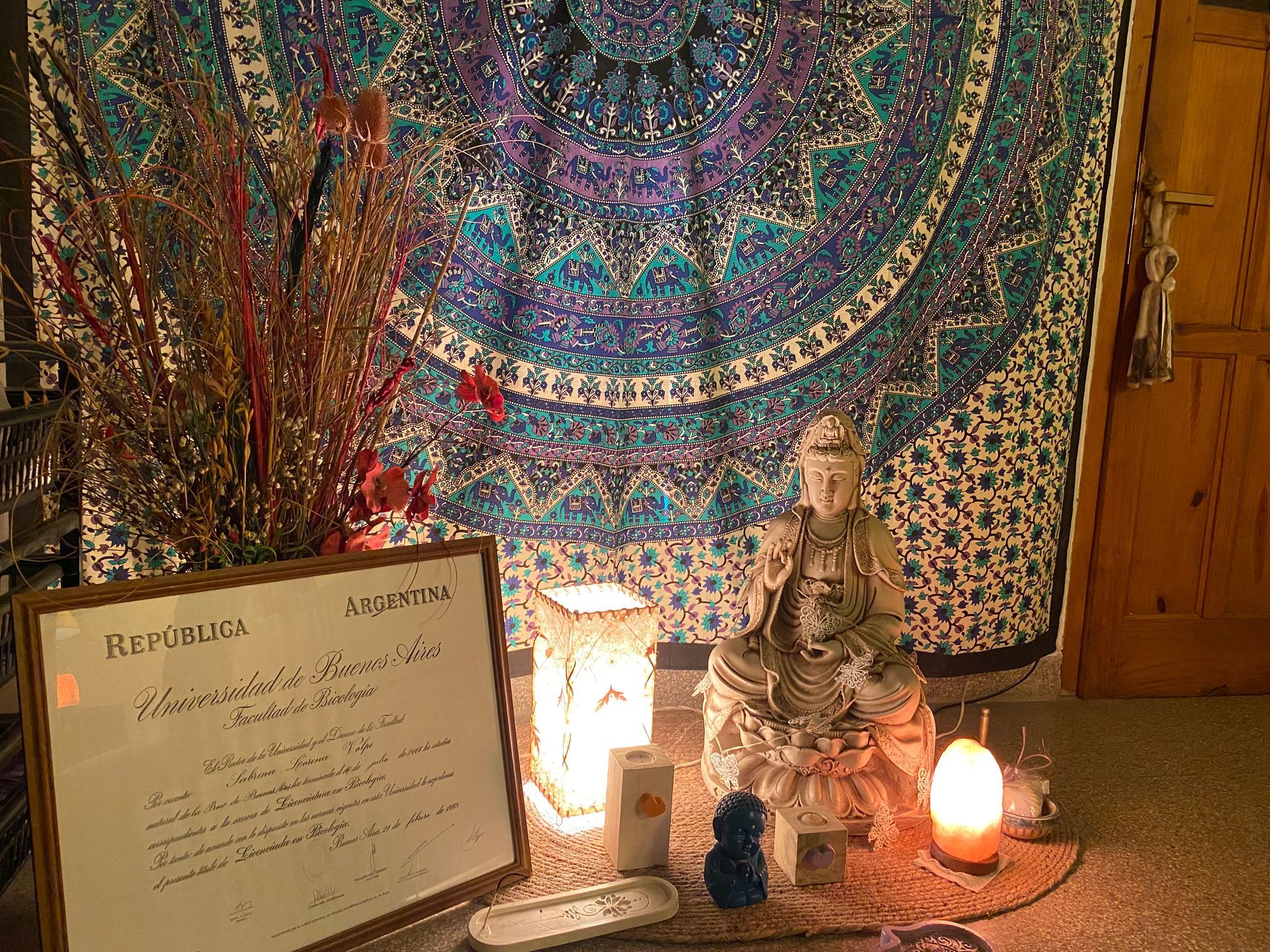 Sabrina Volpi, Licenciada en Psicología