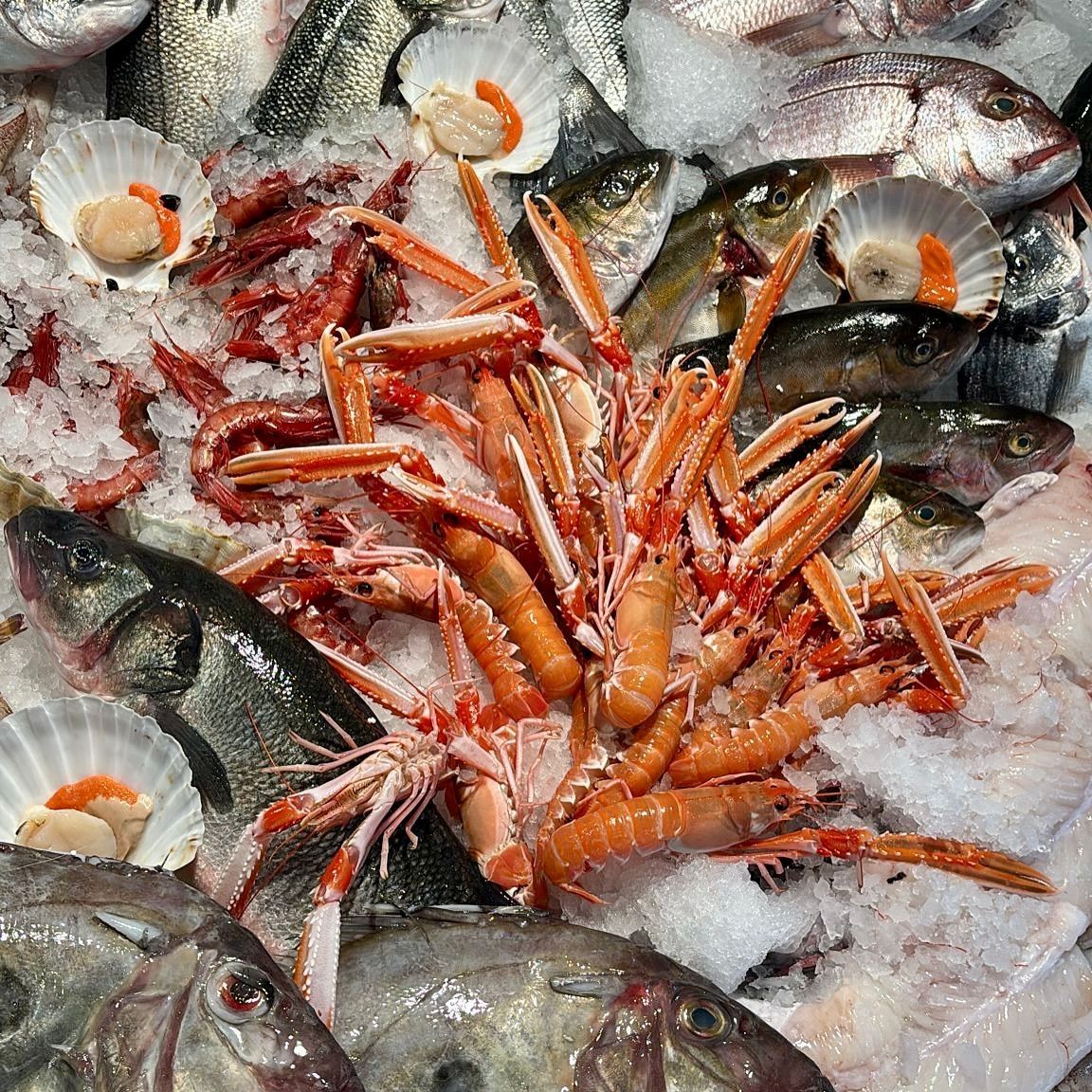 Esposizione di pesce fresco sul ghiaccio, tra cui pesci, scampi e capesante.