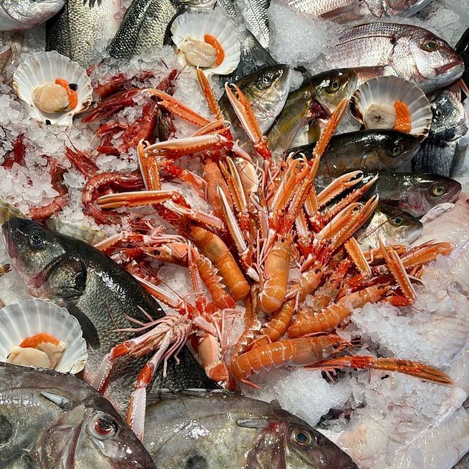 Esposizione di pesce fresco sul ghiaccio, tra cui pesci, scampi e capesante.
