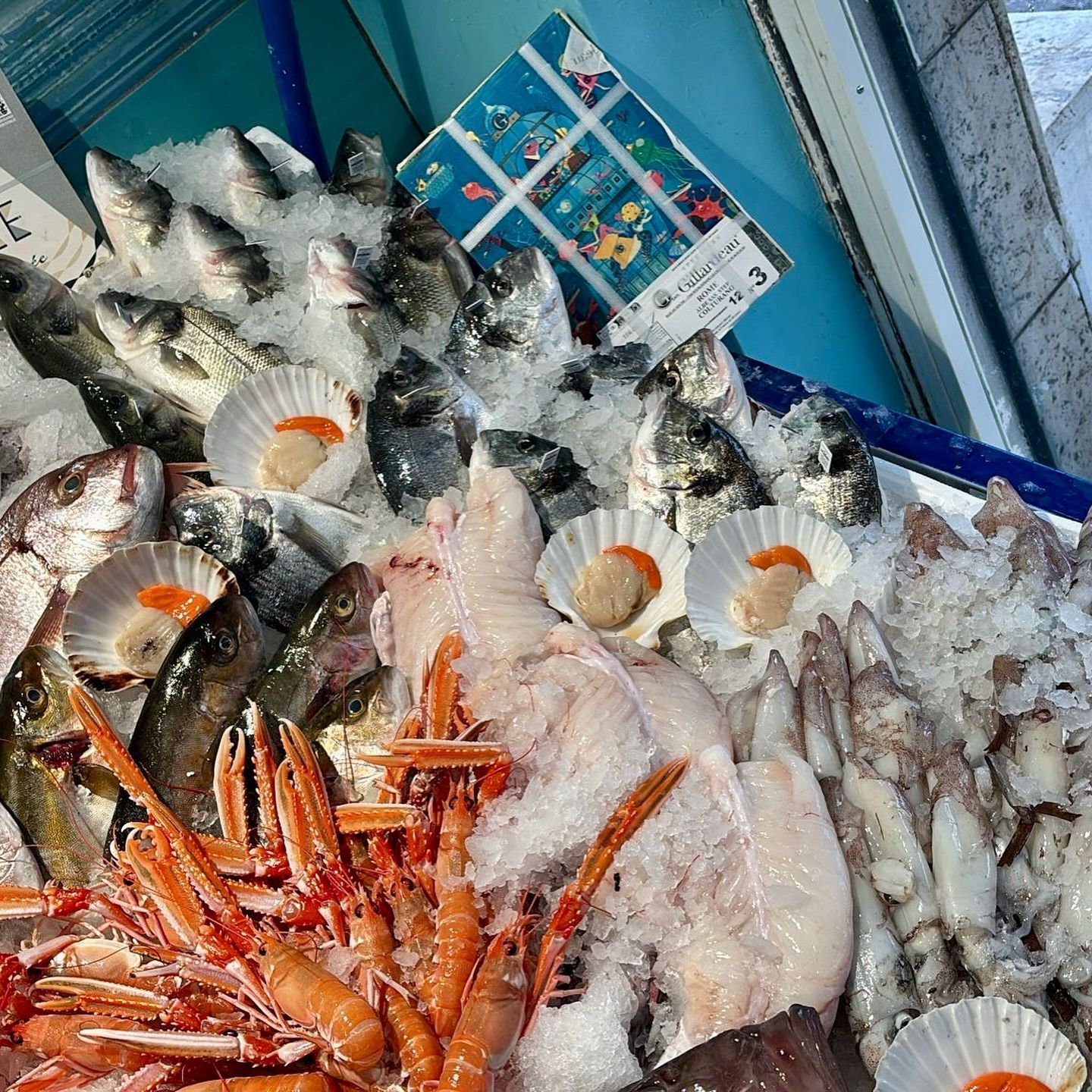 Esposizione di frutti di mare con pesci, crostacei e capesante su ghiaccio in un mercato.