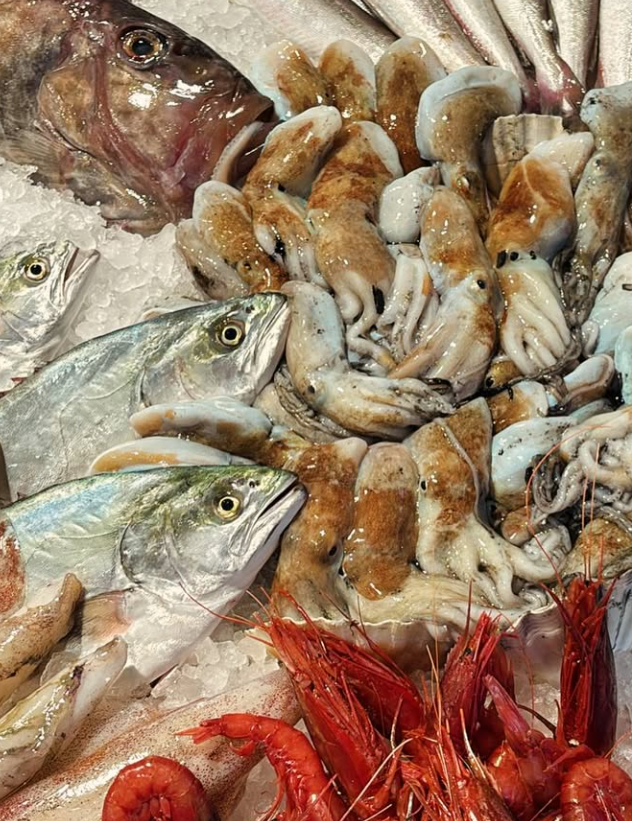 Esposizione di pesce fresco: vari pesci, polpi e gamberi su ghiaccio.