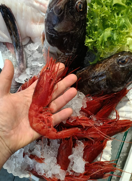 Mano che tiene un grosso gambero rosso. Altri gamberi e pesci riposano sul ghiaccio, con lattuga sullo sfondo.