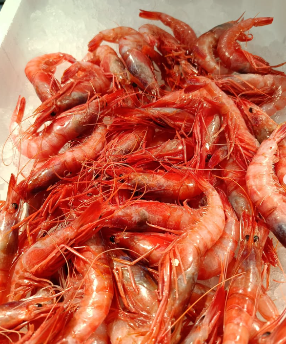 Mucchio di gamberi rossi cotti sul ghiaccio.