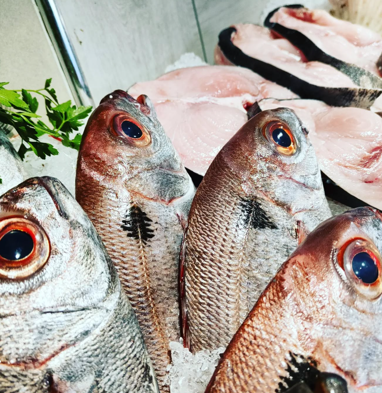 Pesci rossi esposti sul ghiaccio, con filetti sullo sfondo, probabilmente un mercato ittico.