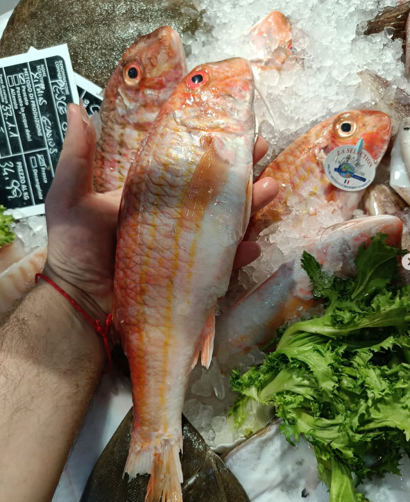 Triglie sul ghiaccio tenute in mano. Ambientazione da mercato del pesce, con cartellino del prezzo ben visibile.
