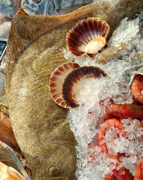 Pesci piatti e capesante sul ghiaccio, con gamberetti visibili.