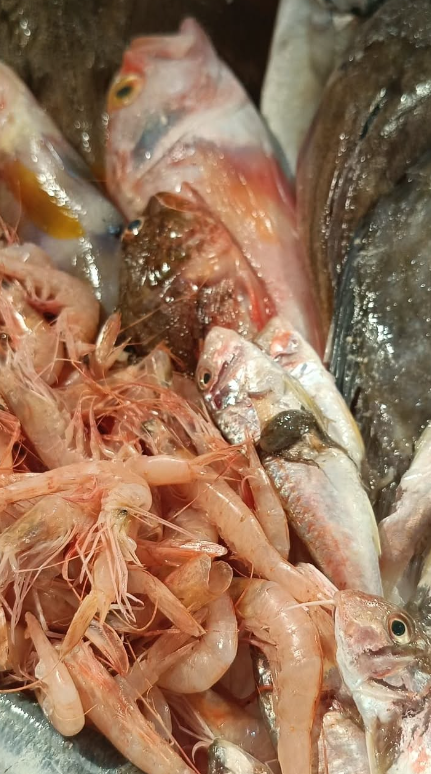 Esposizione di pesce fresco: gamberi rosa crudi e vari pesci di vari colori.