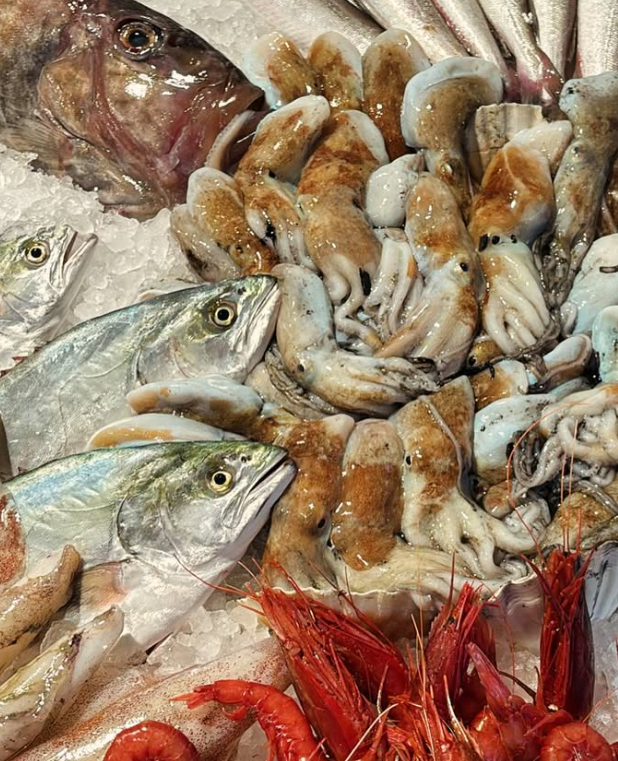 Esposizione di frutti di mare: vari pesci, calamari e gamberi disposti sul ghiaccio.