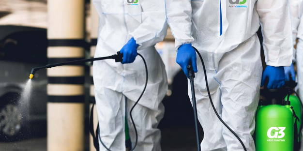 control de plagas en San Luis Potosí