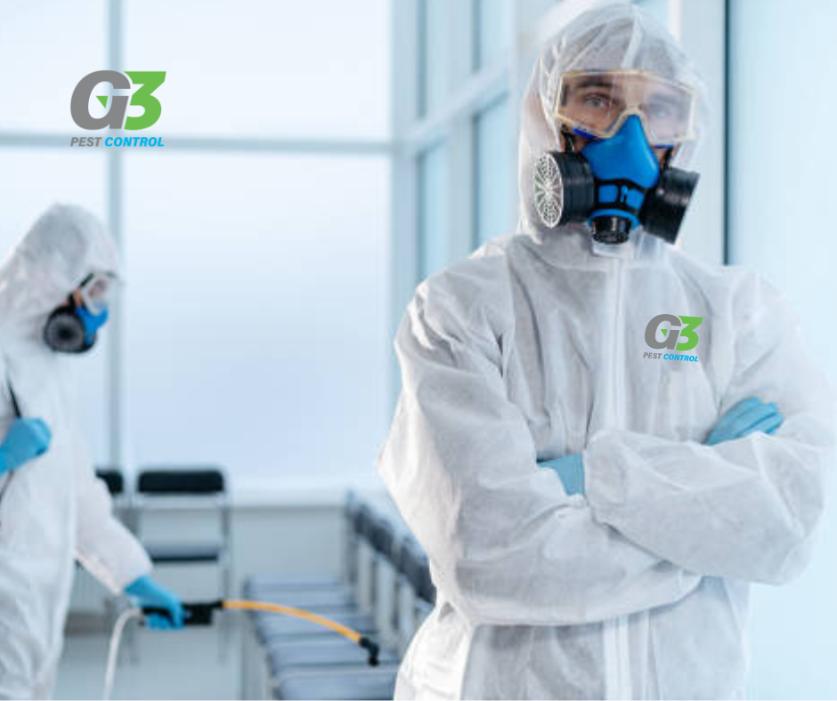 entorno libre de plagas