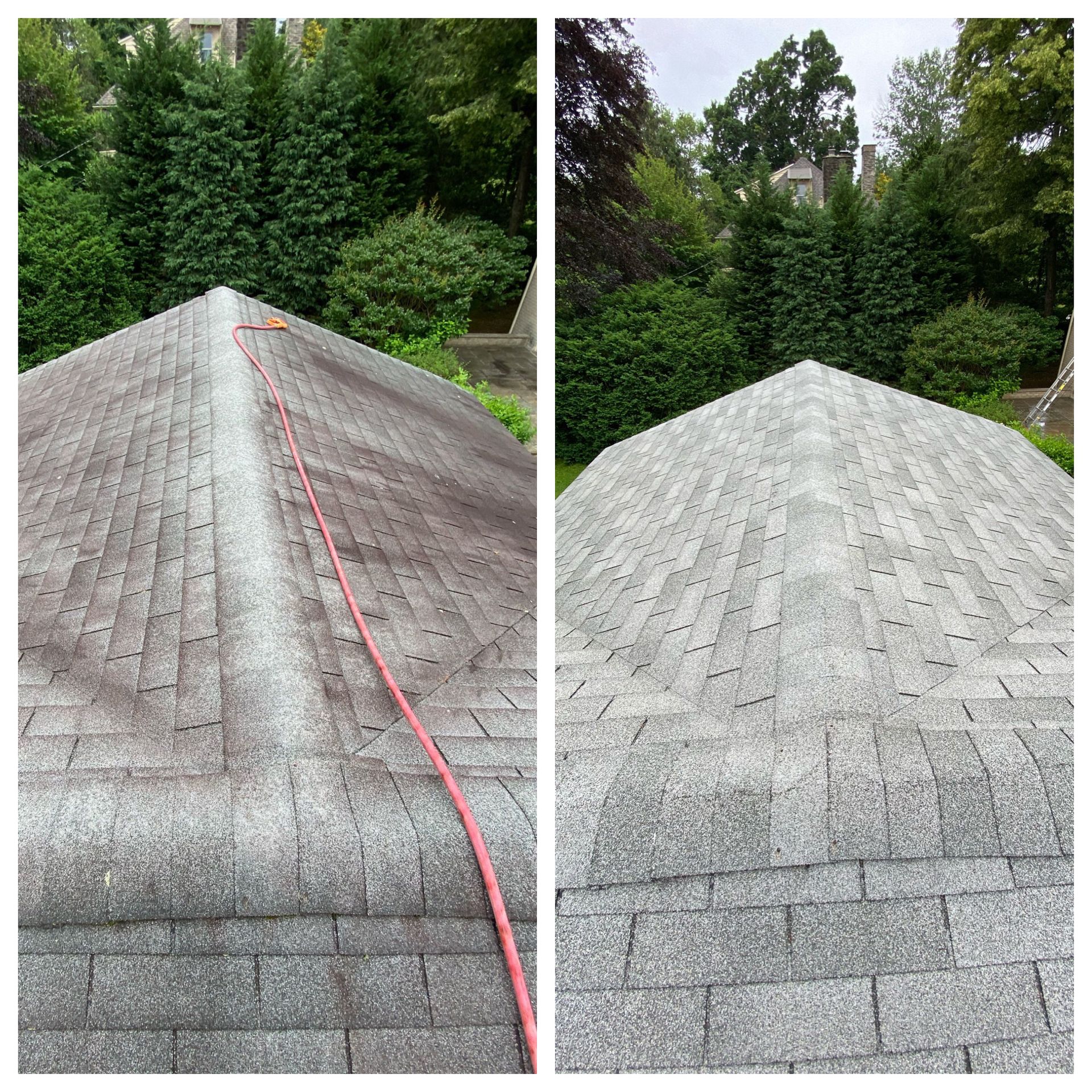 Before and after comparison of a roof cleaning, showing dark, stained asphalt shingles restored to a clean, light gray.