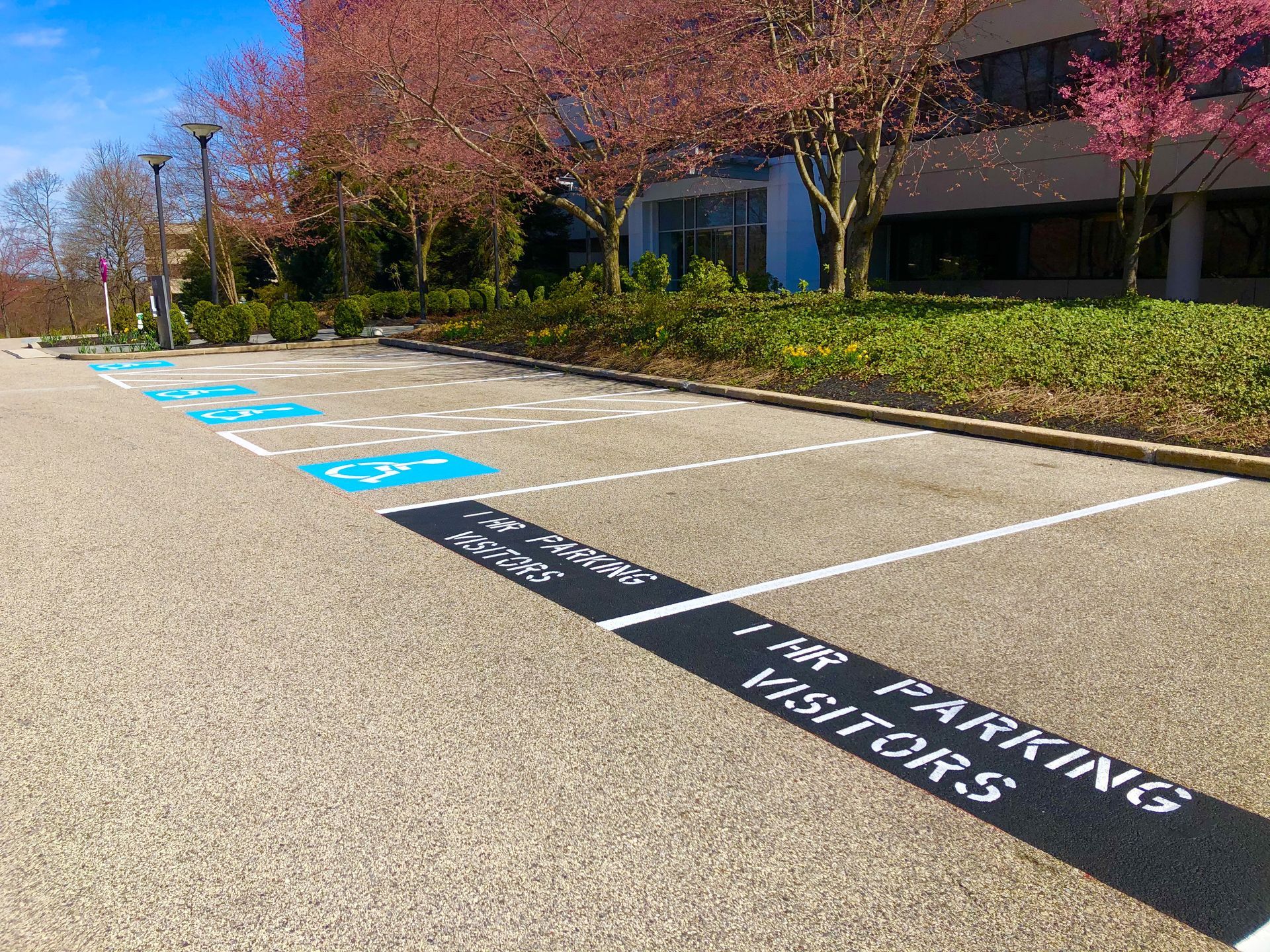 Parking lot with designated handicapped spots and visitor parking.