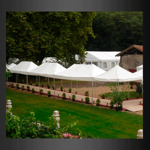 Una hilera de tiendas de campaña blancas se encuentran sobre un exuberante campo verde.