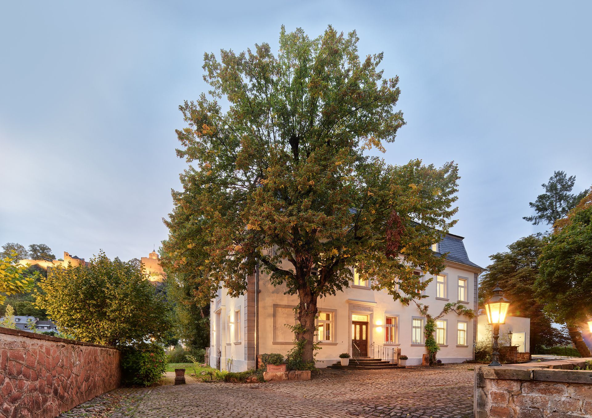 Ein Mann macht ein Foto von einem Gemälde von Vincent Van Gogh.