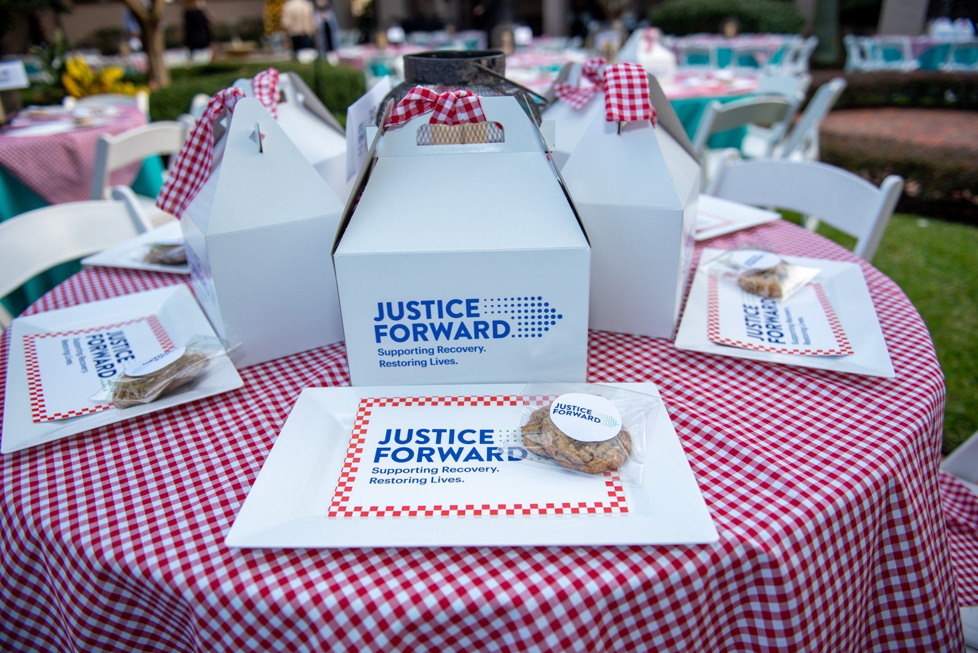 Picnic for Progress Raising Money with Socially Distanced Fun