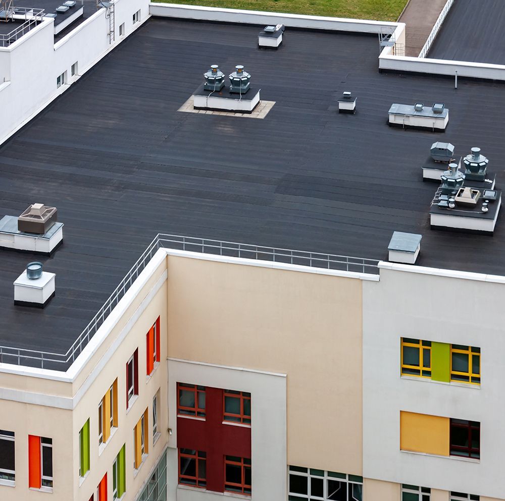 Commercial Building Black Roof