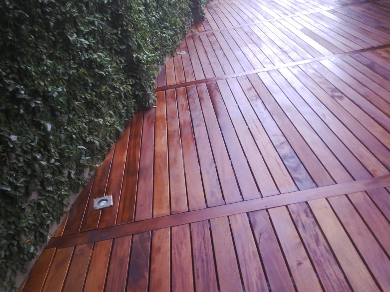 A wooden deck with a hedge in the background