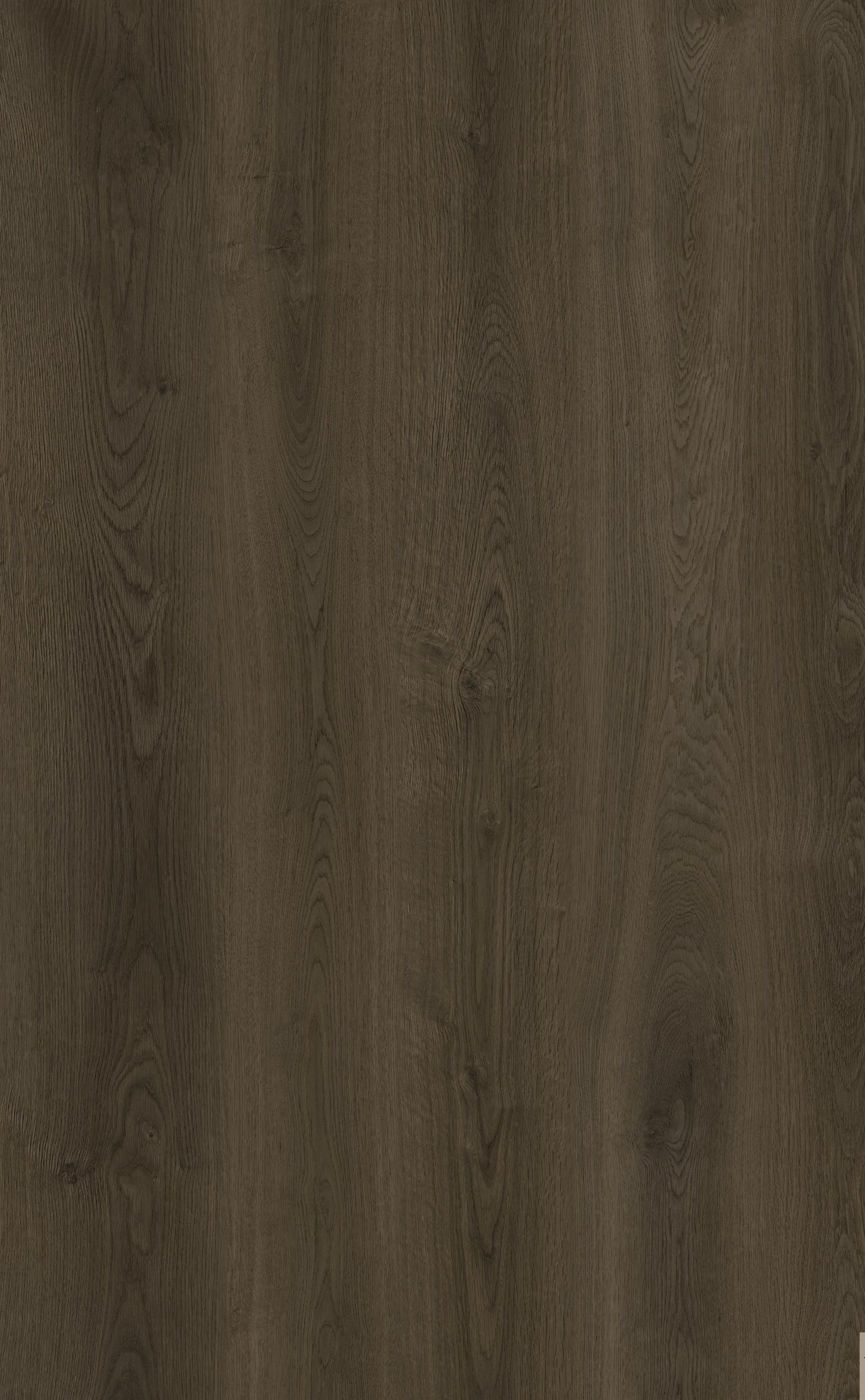 A close up of a piece of brown wood.