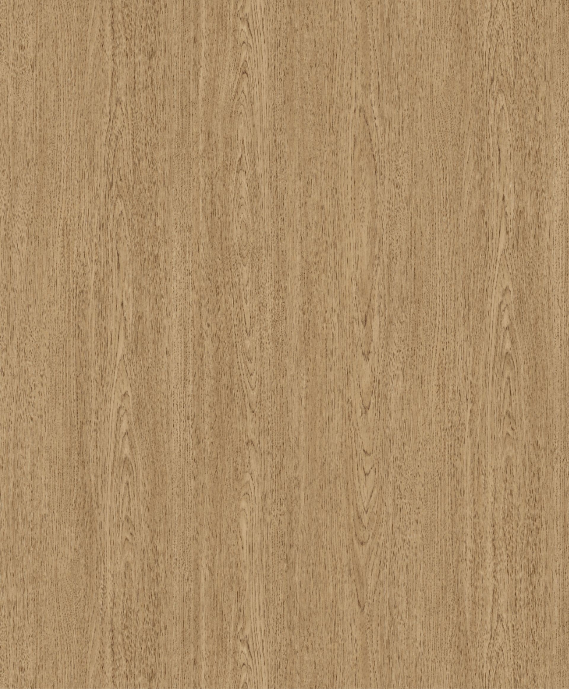 A close up of a piece of wood with a grainy texture.