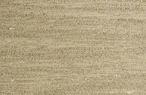 A close up of a piece of paper with a grainy texture.