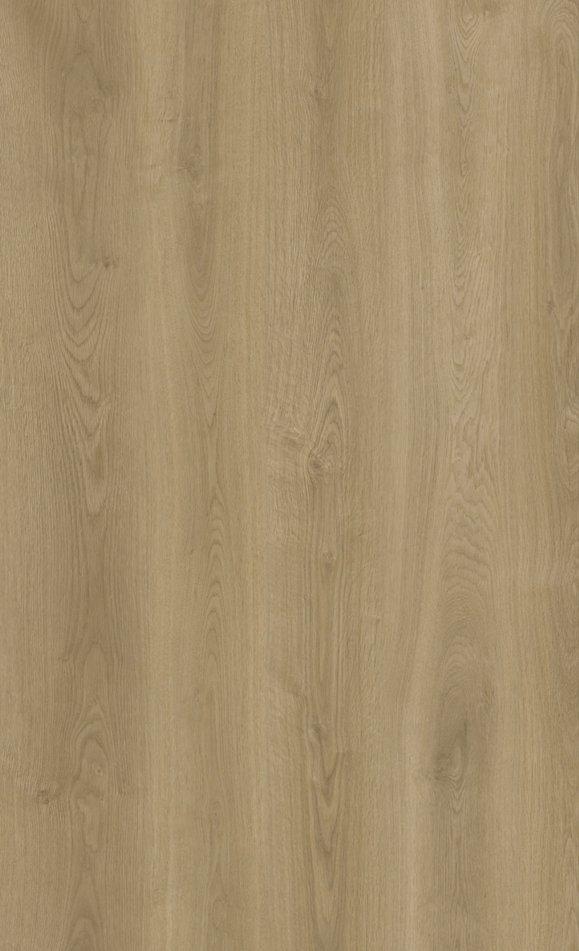 A close up of a piece of wood showing the grain and texture.