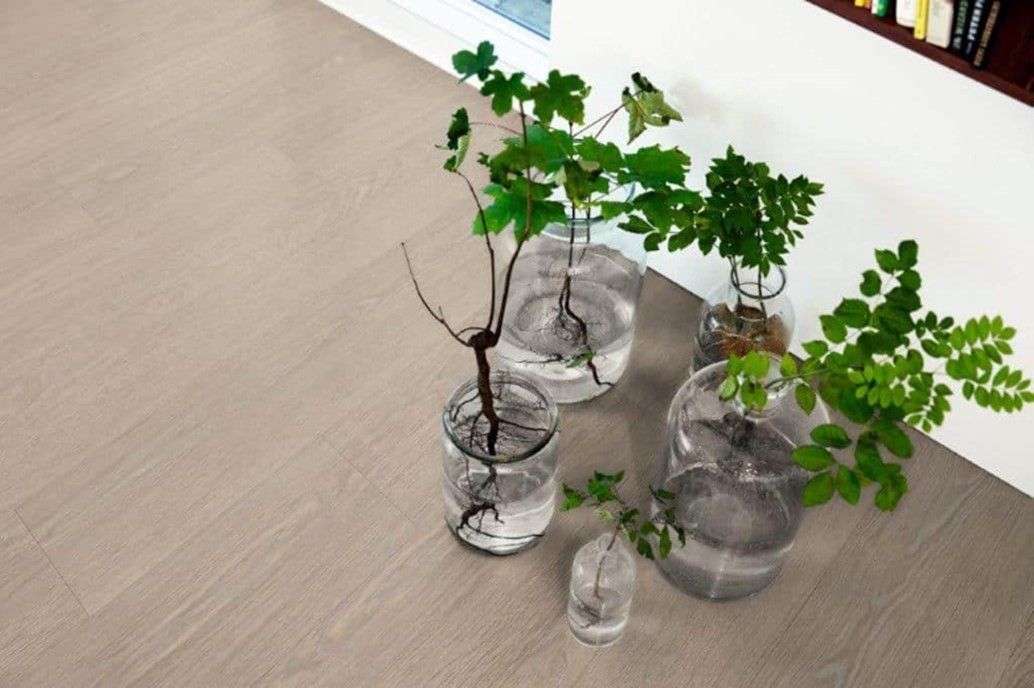 A group of vases filled with water and plants on a wooden floor.