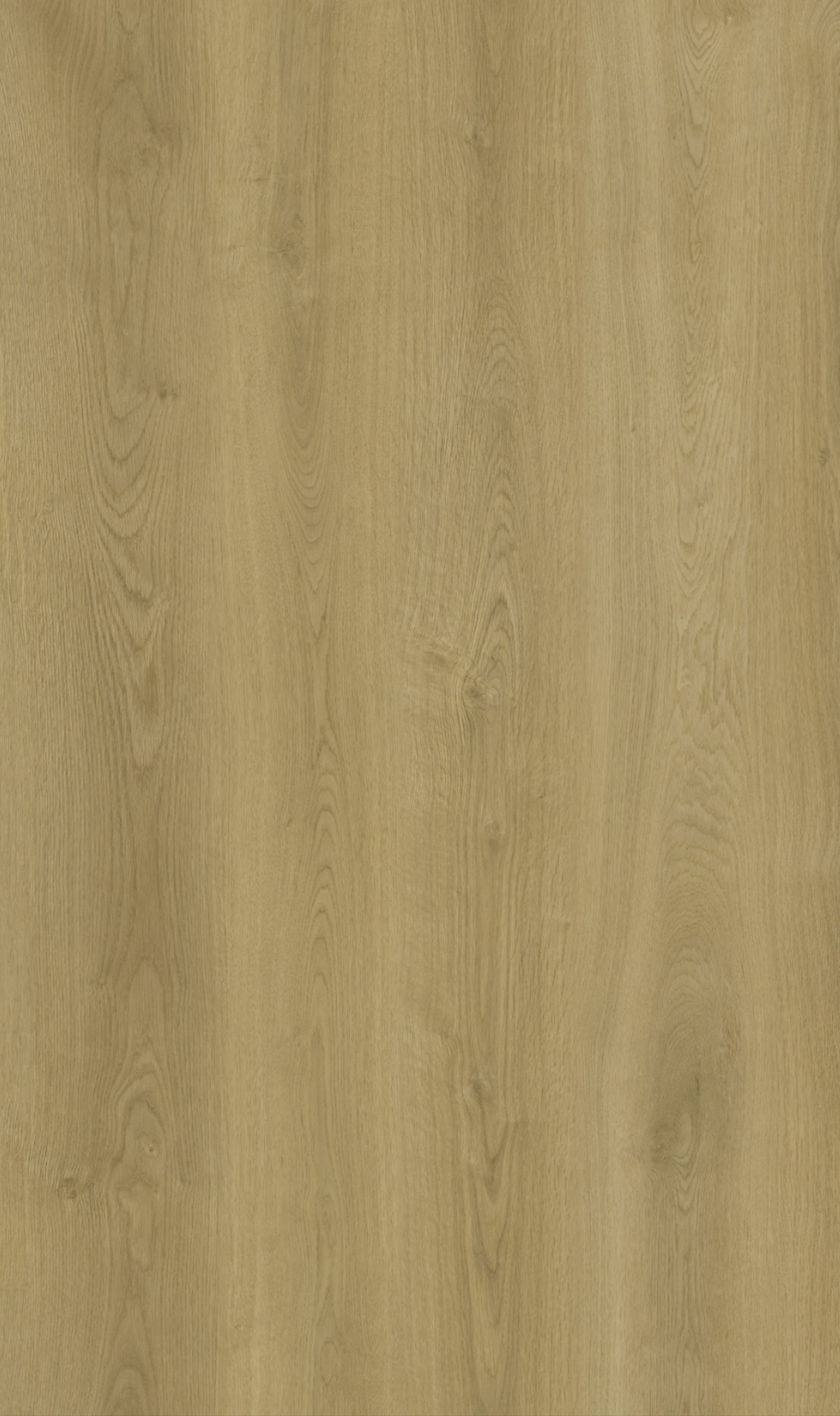 A close up of a piece of wood showing the grain and texture.