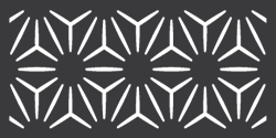 A pattern of white lines on a black background.